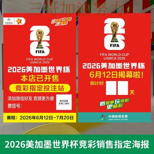 世界杯投注数据分析实录：哪个好真实情况曝光（世界杯赛事中心）